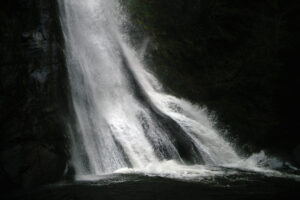 nFuco Reyes Viajes y Naturaleza17 300x200