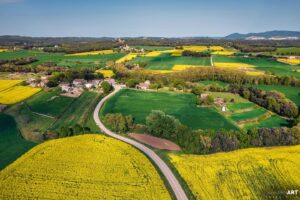 173791443 3928255877291995 8609817853990128280 n 300x200