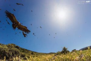 185011158 4010153299102252 4579627708829735295 n 300x203