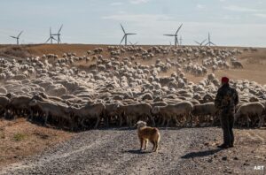 193357137 4207968949320685 3425801493659920909 n 300x198