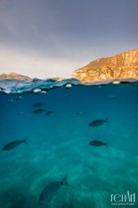 21319287 1440058432778431 2269402618820253665 o 200x300