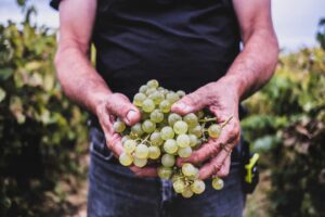 244429241 4434690626648515 3981650025835863353 n 300x200