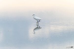 247626728 4487096628074581 5860895638207696123 n 300x200