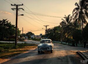 49899427 2035614186556183 4825853647814393856 n 300x219