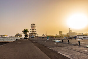 WhatsApp Image 2022 01 15 at 19.49.49 2 300x200