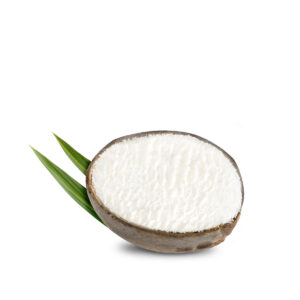 RAFA FIERRES ALIMENTACION 22 300x300