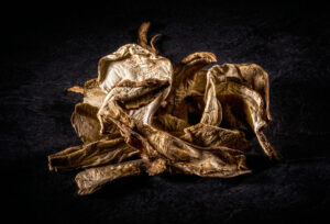 RAFA FIERRES ALIMENTACION 34 300x204