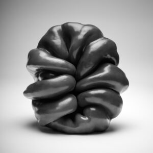 RAFA FIERRES AUTOR 15 300x300