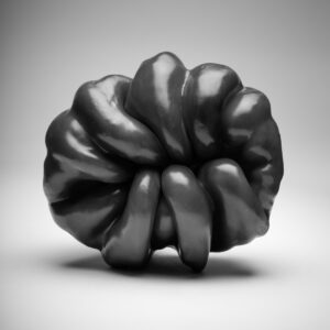 RAFA FIERRES AUTOR 16 300x300