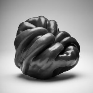 RAFA FIERRES AUTOR 17 300x300