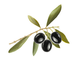 015 olives 300x263