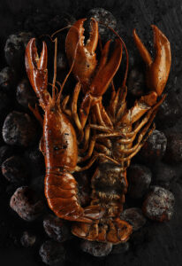 06 Llamantols 206x300