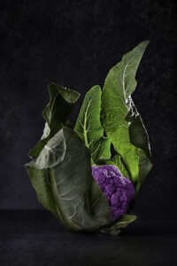 08 Purple coliflower 200x300