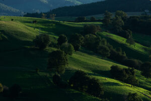 paisaje en Cantabria