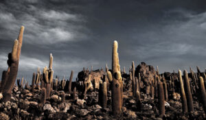 CGI 0074 copia 300x175