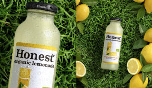 honest tripode 300x175