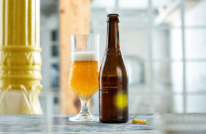 Botella y Copa IPA Alhambra 1 300x195