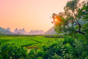 1918 China 3676 1 300x200