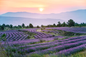 2224 Rincon Ademuz 0206 1 300x200