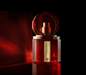 base wetransfer v3 afp 300x262