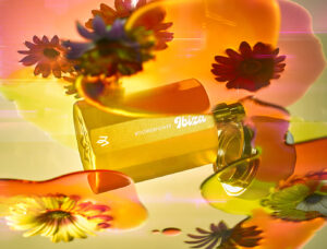 base wetransfer v4 afp 300x228