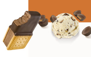 base wetransfer v8 afp 300x189