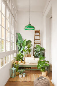 URBAN JUNGLE 1 200x300