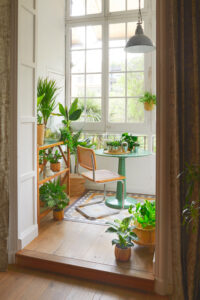 URBAN JUNGLE 3 200x300