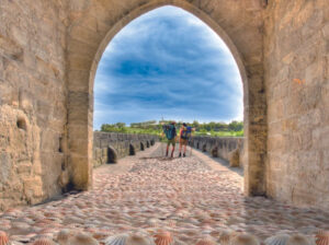 Fotografia publicitaria 3 300x224