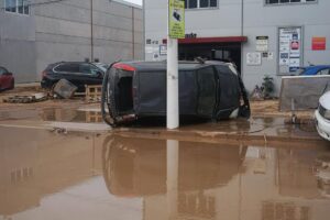 2024 11 01 3491324731498976245 300x200