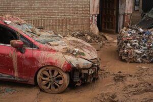 2024 11 01 3491324731784219450 300x200