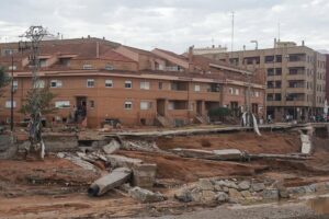 2024 11 01 3491338012922046448 300x200