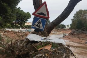 2024 11 01 3491338012922200899 300x201