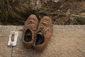 2024 11 01 3491338012930505800 300x200