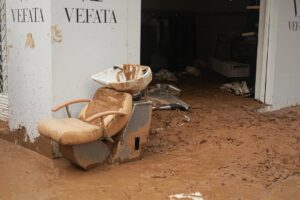 2024 11 01 3491338012930528237 300x200