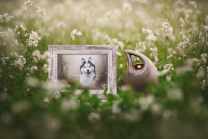 RutCasanellas Mishka7 SF 300x200