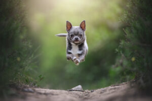 RutCasanellas SuriTheoAlvin2 SF 300x200